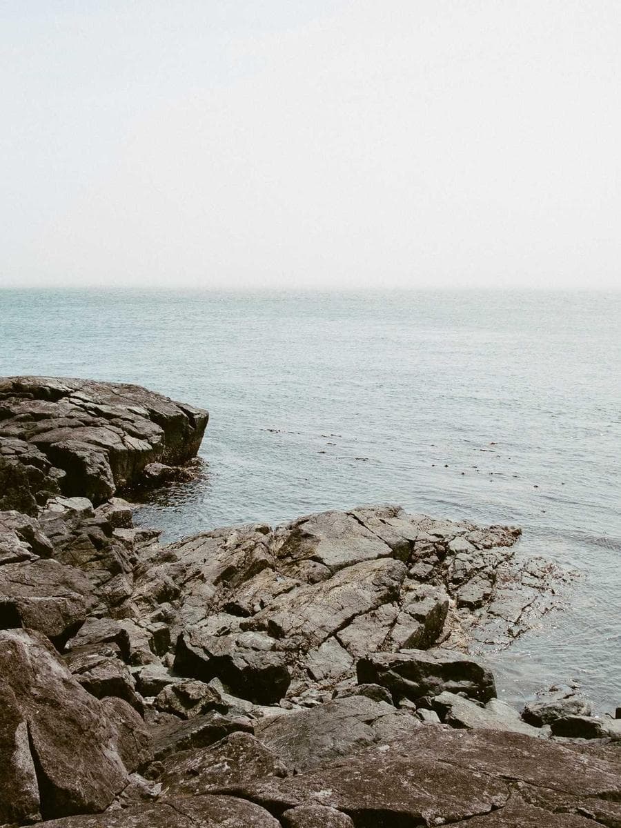 Lilly · Szene 9