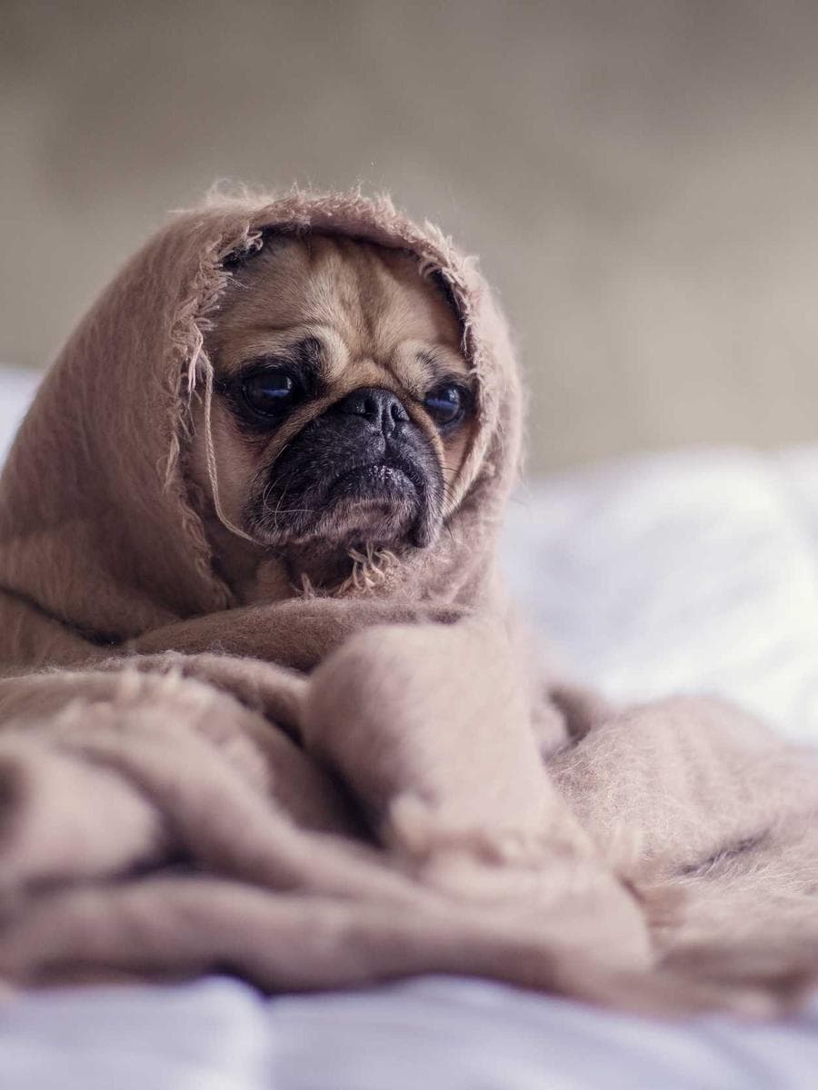 Theresa · Szene 4